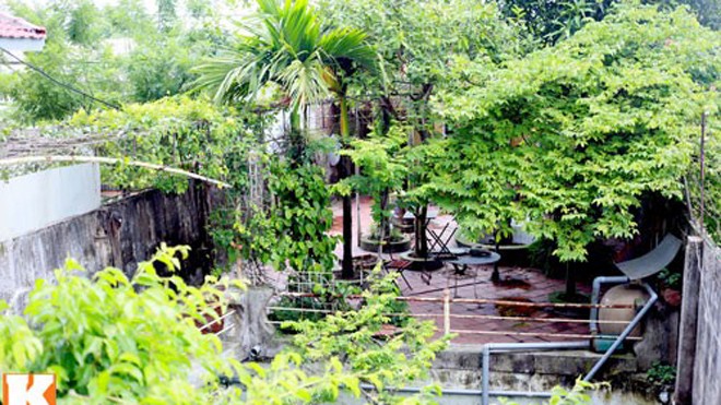 Nhà vườn rộng 10.000 m2 của diễn viên hài Giang 'Còi' - ảnh 2