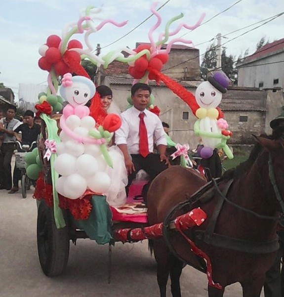 Rước dâu bình dị bằng xe ngựa xôn xao dân mạng - ảnh 1