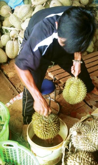 Truy tìm hóa chất cực độc giúp trái cây một tháng vẫn... tươi - ảnh 1