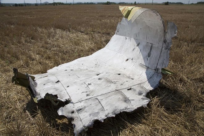 Những hình ảnh chứng minh MH17 bị bắn bằng tên lửa - ảnh 5