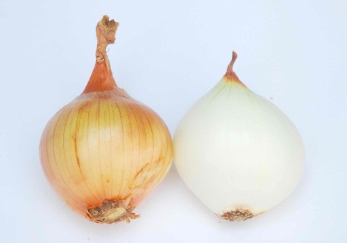 Ăn uống bảo vệ phổi - ảnh 1