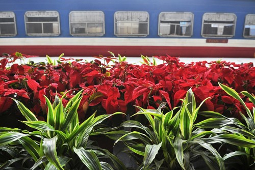Diện mạo mới của Ga Hà Nội - ảnh 6