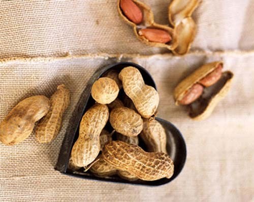 Mẹo tẩy vết ố vàng lâu năm trên răng cực nhanh - ảnh 1