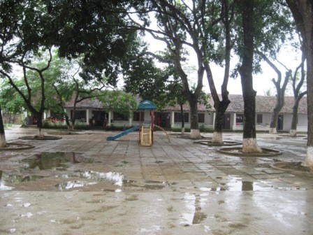 Hàng trăm trẻ học trong trường sắp sập, ô nhiễm thuốc trừ sâu - ảnh 1