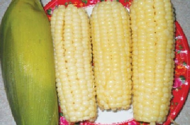 Tránh xa ung thư nhờ ngô luộc mỗi ngày - ảnh 1