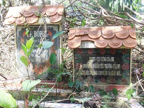 Bí ẩn đại gia vung chục tỷ xây biệt thự cho chó - ảnh 1