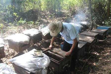 Chuyện những người chọn “nghiệp” rong ruổi theo mùa hoa - ảnh 2