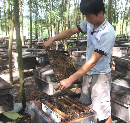 Chuyện những người chọn “nghiệp” rong ruổi theo mùa hoa - ảnh 3