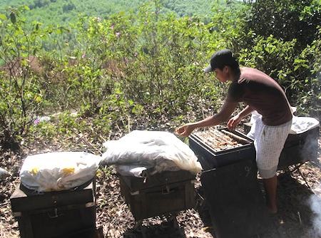 Chuyện những người chọn “nghiệp” rong ruổi theo mùa hoa - ảnh 4
