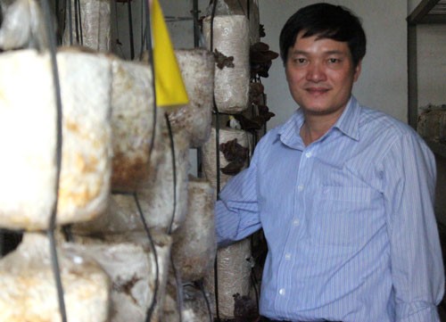 Đua nhau trồng nấm tại gia - ảnh 1