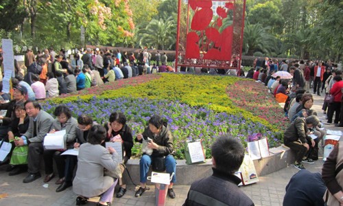 Cha mẹ già họp chợ tìm chồng cho con gái - ảnh 1