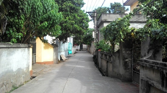 Dân làng mổ lợn, hát Xoan mừng ngày hội đoàn kết - ảnh 2