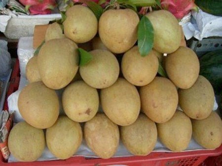 Tuyệt chiêu để tránh mất tiền mua trái cây độc hại - ảnh 4
