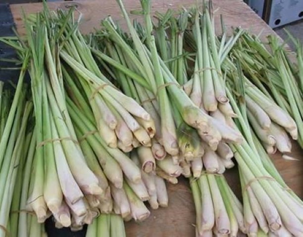 5 lí do tuyệt vời bạn nên ăn sả thường xuyên - ảnh 1