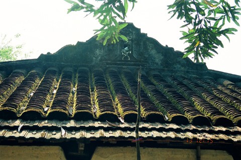 Nhà cổ triệu đô của lão nông xứ Quảng - ảnh 1