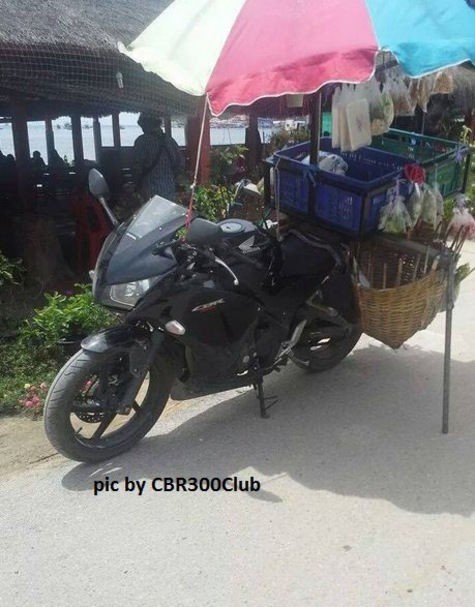 Dùng Honda CBR250R bán hoa quả dạo - ảnh 1