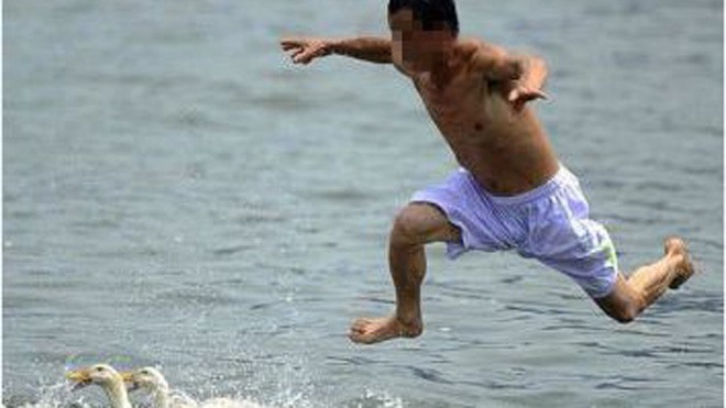 Tiện đường mua rau răm, rủ nhau cướp vịt - ảnh 1