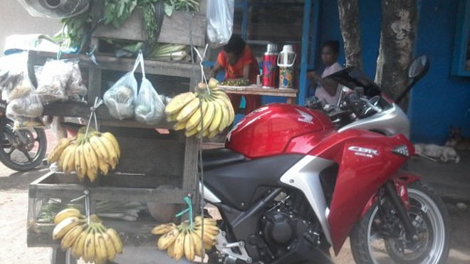 Dùng Honda CBR250R bán hoa quả dạo - ảnh 2