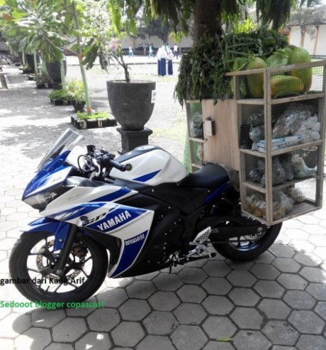 Dùng Honda CBR250R bán hoa quả dạo - ảnh 5
