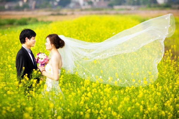 Thanh niên Hà Thành đua nhau đi chụp hoa cải - ảnh 11
