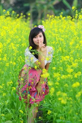 Thanh niên Hà Thành đua nhau đi chụp hoa cải - ảnh 1