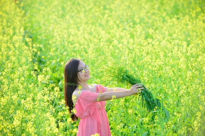 Thanh niên Hà Thành đua nhau đi chụp hoa cải - ảnh 5