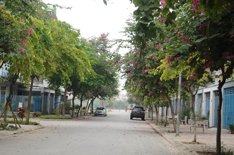 Xót cảnh nhà tiền tỷ ở Hà Nội biến thành nơi buôn sắt vụn - ảnh 13