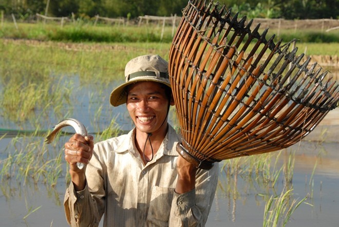 Đẩy côn, nghề kiếm nửa triệu đồng mỗi ngày ở miền Tây - ảnh 1
