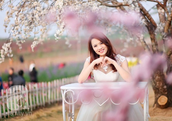 4 địa điểm chụp ảnh với hoa đẹp hút hồn ở Hà Nội - ảnh 2