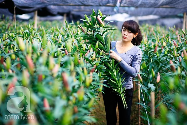 4 địa điểm chụp ảnh với hoa đẹp hút hồn ở Hà Nội - ảnh 4