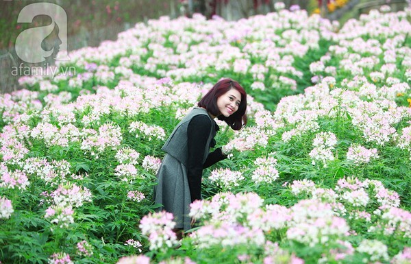 4 địa điểm chụp ảnh với hoa đẹp hút hồn ở Hà Nội - ảnh 8