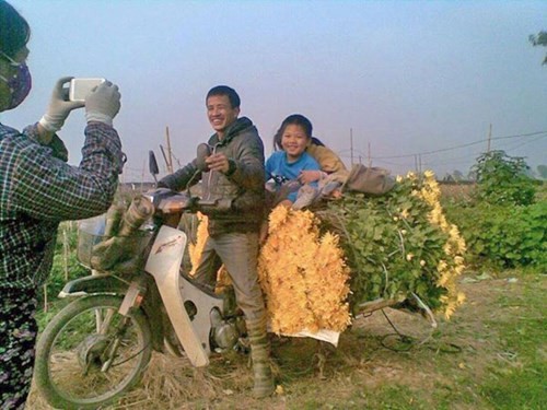 Hà Nội được mùa hoa Tây Tựu - ảnh 4