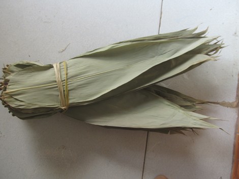 Tỷ phú nhặt lá tre - ảnh 2