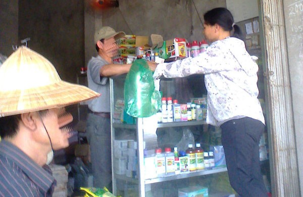Hãi hùng rau muống để tủ lạnh vẫn dài ra cả gang tay - ảnh 3