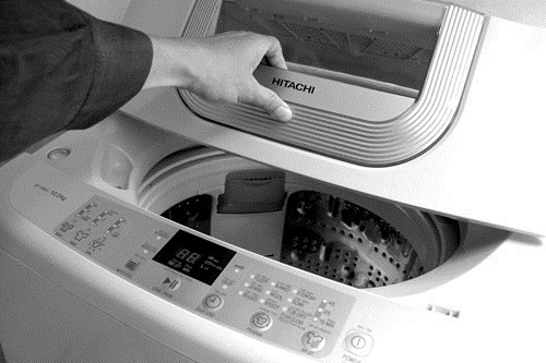 Khiếp đảm xem ổ bệnh rùng rợn nấp trong máy giặt - ảnh 1