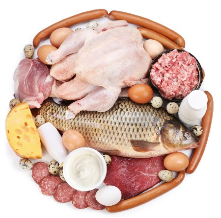 Ăn đạm như thế nào để tốt cho sức khỏe? - ảnh 1