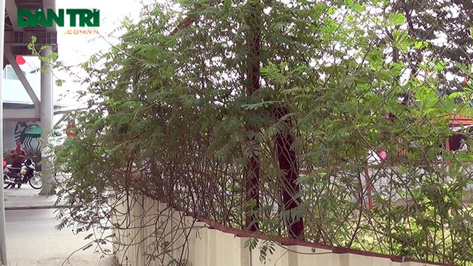 Dân Thủ đô khốn khổ vì “lô cốt” đường sắt trên cao - ảnh 7