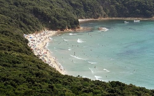 Bác sĩ 'đã chết' 20 năm được tìm thấy trong rừng - ảnh 1