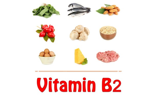 Ăn gì giúp tăng chiều cao? - ảnh 2