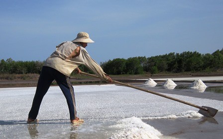 Diêm dân 'đắng lòng' khi bán 1 kg muối chưa mua được viên kẹo - ảnh 2
