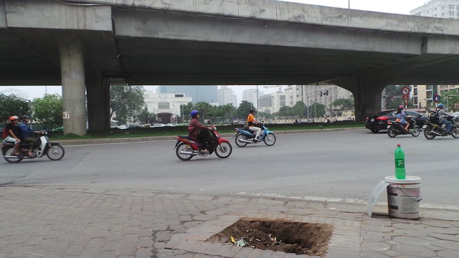 Hà Nội thay thế hàng sấu chết khô trên đường Phạm Hùng - ảnh 2