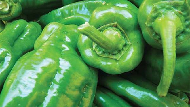 cách giảm mỡ bụng - ảnh 1
