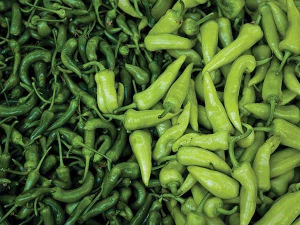 cách giảm mỡ bụng - ảnh 3