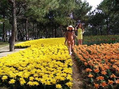 Đà Lạt vào top 9 điểm đến đáng khám phá nhất châu Á - ảnh 2