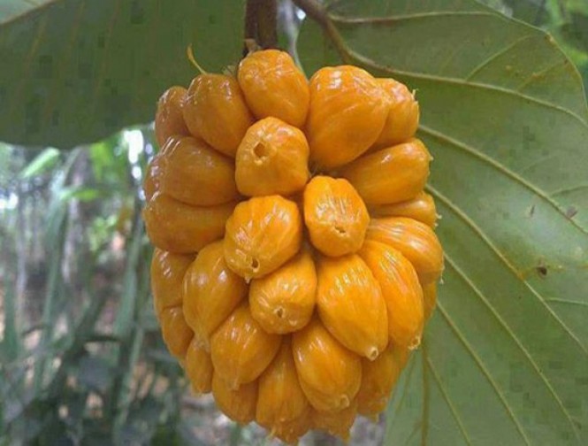 Những món ngon dân dã mê đắm lòng người ở Đồng Nai - ảnh 2