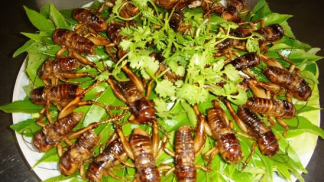 Những món ngon dân dã mê đắm lòng người ở Đồng Nai - ảnh 5