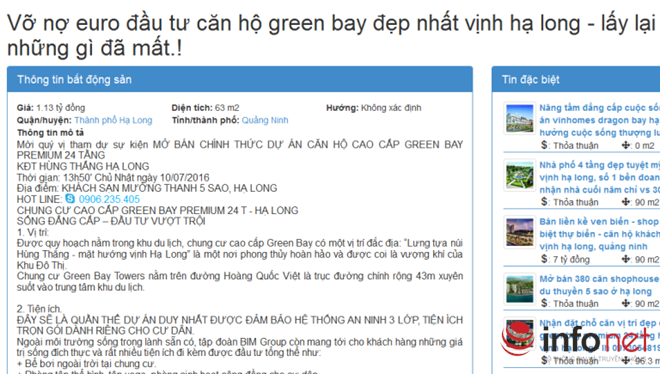 Chiêu 'vỡ nợ Euro' để bán nhà đất - ảnh 1