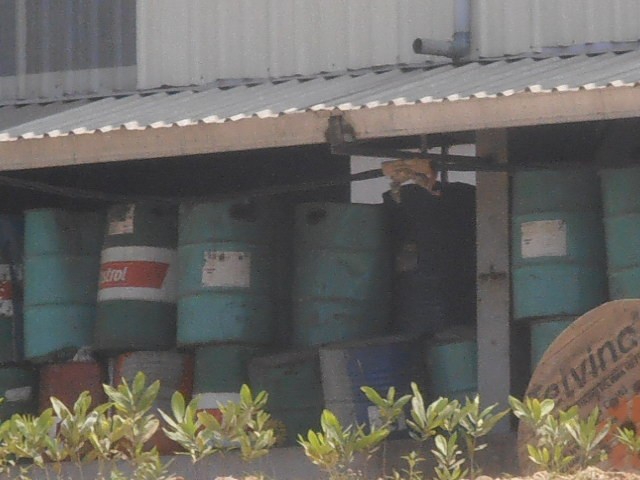 rác thải formosa - ảnh 5