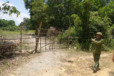 rác thải formosa - ảnh 9