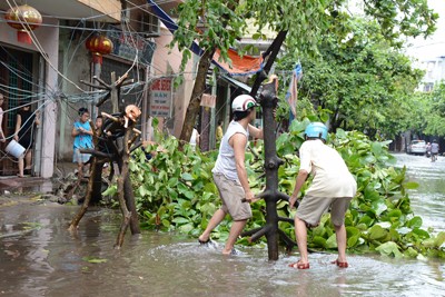 Nam Định tan hoang sau bão số 1 - ảnh 6